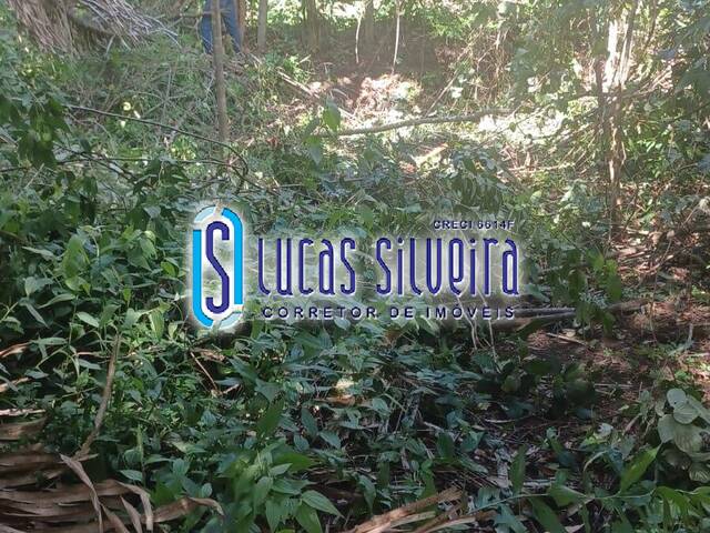 #219V - Área para Venda em Meruoca - CE - 1